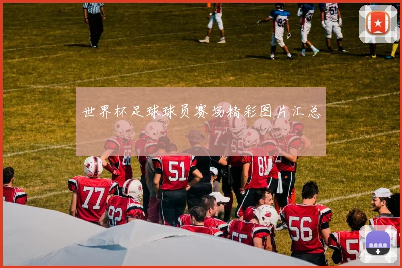 世界杯足球球员赛场精彩图片汇总