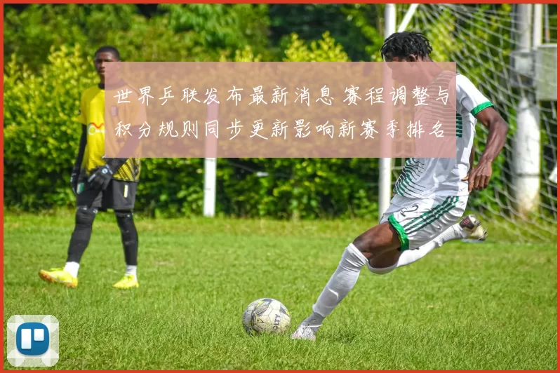 世界乒联发布最新消息 赛程调整与积分规则同步更新影响新赛季排名