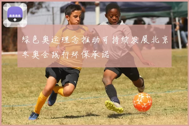 绿色奥运理念推动可持续发展北京冬奥会践行环保承诺
