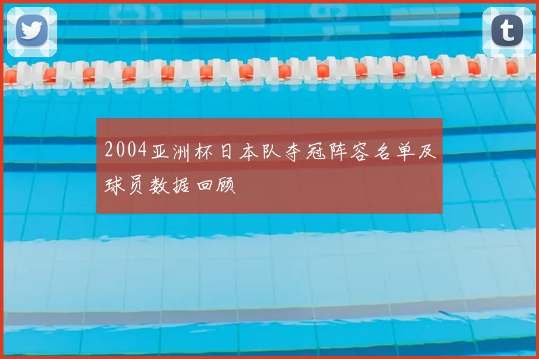 2004亚洲杯日本队夺冠阵容名单及球员数据回顾